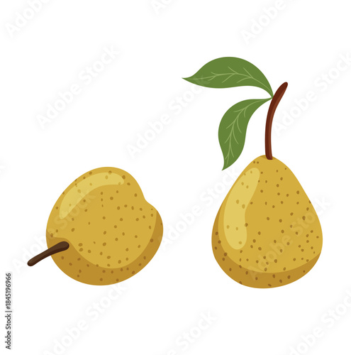 Pear. Flat vector clipart, illustration with isolated background.