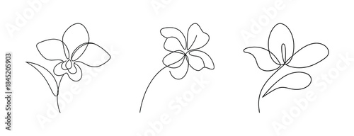 Delicate line drawings of three white deadnettle flowers in sketch style