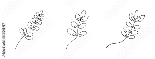 Delicate black and white sketch of three lupine flower sprigs