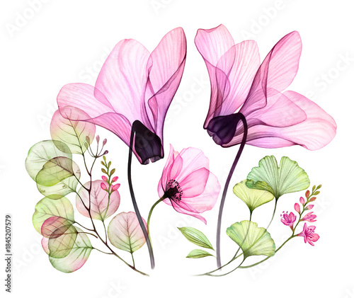 Watercolor arrangement with two pink roses and eucalyptus branch. Colourful tropical flowers for Valentine's Day cards. Botanical floral illustration for wedding 