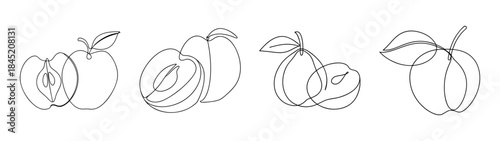 Collection of white sapote fruits hand drawn sketch style art