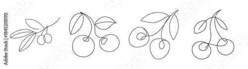 Set of four bicycle sketches dynamic angles line art style