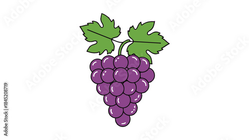 Colorful Cartoon Illustration of a Perfectly Clustered Bunch of Purple Grapes with Green Leaves