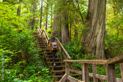 Cuadro en lienzo Tourist walking up wooden stairs in rainforest trail in ucluelet, british columb