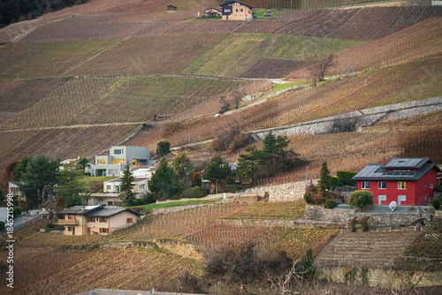 Bild auf Leinwand Sierre, Les Longs Près, le soir avant le crépuscule