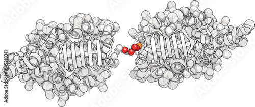 Molecular Structure of DNA with Double Helix and Base Pairs in Scientific Illustration