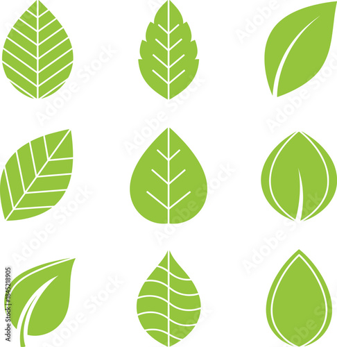 Green leaf illustration set featuring eco friendly botanical elements, natural foliage shapes, and organic design concepts