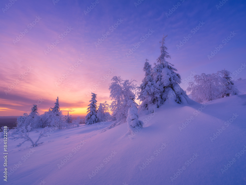 Naklejka premium Nature in the north. Snowdrifts with fluffy snow. Winter wonderland. Trees covered with snow. Winter landscape during bright sunrise. Natural landscape. Background, wallpaper, postcards.