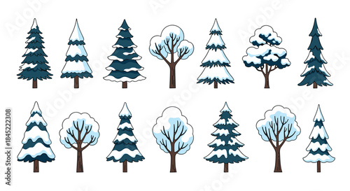 Winter forest row of snow covered evergreen and deciduous trees arranged in a stylized landscape suitable for seasonal design and nature themed illustrations.