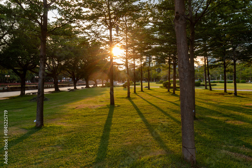 sunset in the city park