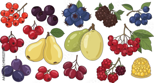 Essential graphic element: vector file icon representing scalable digital illustration format