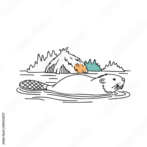 Beaver swimming in the water near its lodge in a natural setting  