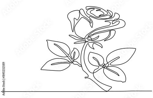 Continuous line drawing of rose flower. One line art concept of beautiful floral for love greeting. Vector illustration