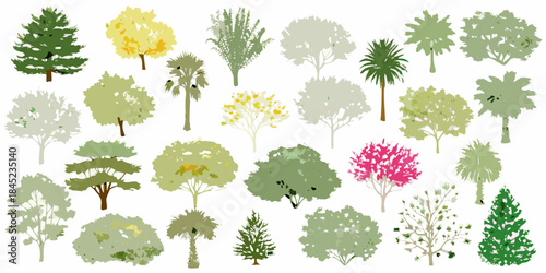Collection of diverse colorful trees in various shapes and sizes isolated on white