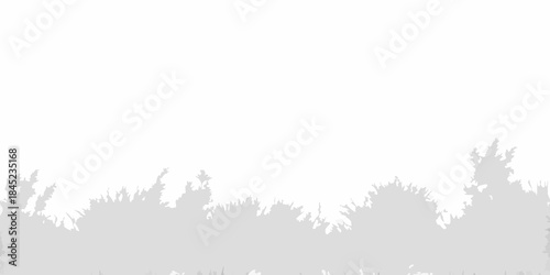 Silhouetted trees against a bright white and expansive sky backdrop