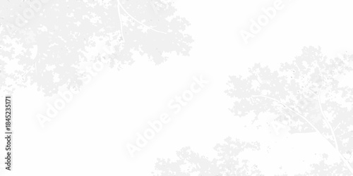 Delicate tree branches outlined against a bright almost entirely white background