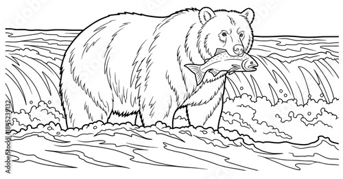 Bear illustration standing in a river, catching fish with its mouth, surrounded by flowing water and splashes, showcasing wildlife and nature in action