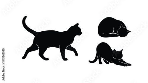 Silhouette depiction of three cats in various poses against a white background