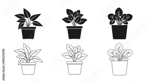 Simple black and white illustration of potted plants in varying styles