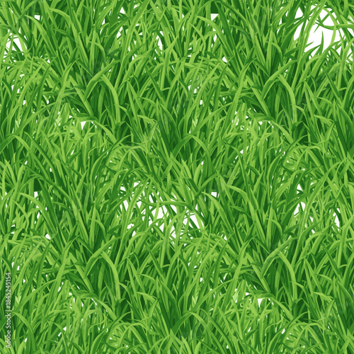 Isolated a Bright green realistic seamless grass pattern vector art with white background.