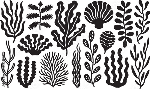 Black and white sea flora and shell icons