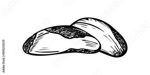 Two peeled blanched and roasted Brazil nuts monochrome vector illustration in engrave style. Paranut or Bolivian nuts graphic sketch. Edible pods for food packaging, vegan recipes, nutrition poster