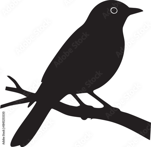 American Robin Silhouette Vector Perched on Branch Side View
