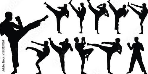 Martial arts kicking silhouette vector set, dynamic poses, combat technique, self-defense icon, black figure, athletic motionMartial arts kicking se, self-defense icon, black figure, athletic motion