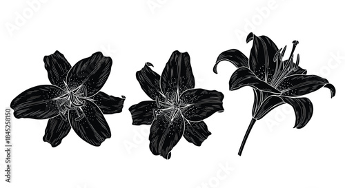 A set of three beautifully detailed lily flowers in a black silhouette style isolated on a plain white background.