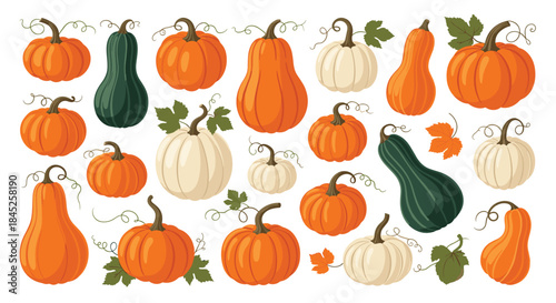A large collection of autumn pumpkins and gourds in various shapes and colors including orange white and green.