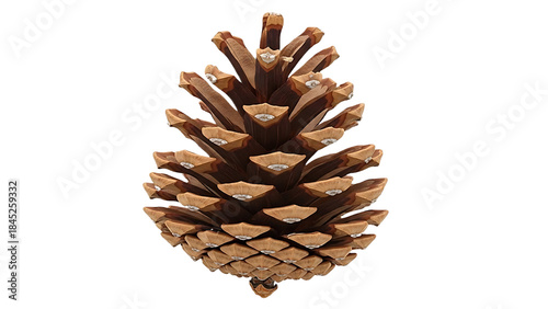 Single brown pine cone with visible scales, natural forest element and rustic holiday decoration, isolated on white background.