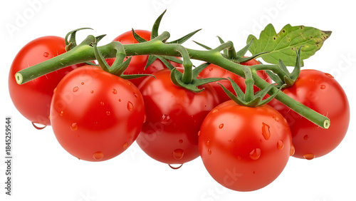 Fresh ripe red cherry tomatoes on the vine with water droplets, healthy raw vegetables for cooking and salads.