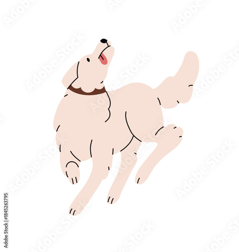 Obedient service dog with collar goes and looks up. Fluffy puppy with sticking tongue follows commands. Cute pet plays, pup has fun while walking. Flat isolated vector illustration on white background