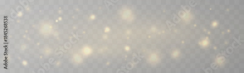 Golden dust sparkles scatter lightly, forming a dreamy glowing haze. The shimmering particles enhance magical depth and softness. Ideal for fantasy-themed designs VECTOR