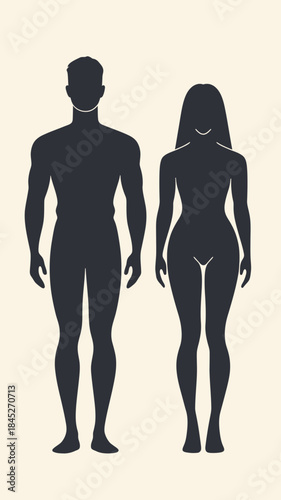 Vector silhouettes of standing man and woman bodies front view flat minimalist style male and female human figures black shapes on light background for medicine and anatomy concept illustration