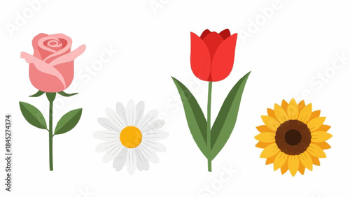 Assorted flat design flowers a pink rose, white daisy, red tulip, and yellow sunflower. Great for spring and summer graphic design projects and decorative elements