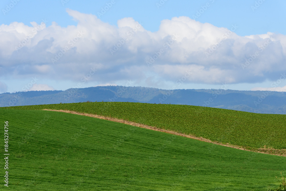 Obraz premium 秋の美瑛の風景