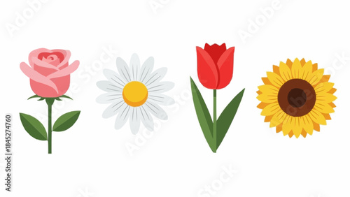 Collection of four different flower illustrations, including a pink rose, daisy, red tulip, and sunflower