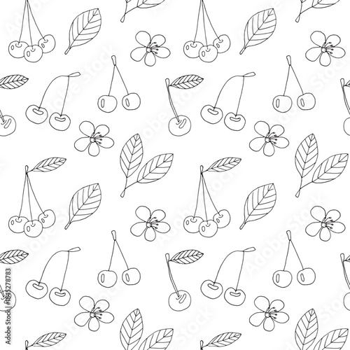 Cherry seamless pattern, hand drawn, vector illustration