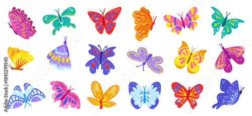 Hand drawn chalk butterfly. Crayon butterflies, seasonal flying insects children style pencil drawing. Isolated wildlife characters with ornament, neoteric vector set