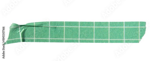 Ripped torn paper adhesive green grid pattern washi tape on transparent background