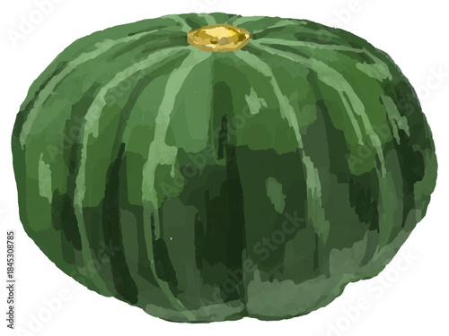 丸ごとかぼちゃのベクターイラスト 緑 野菜 料理素材