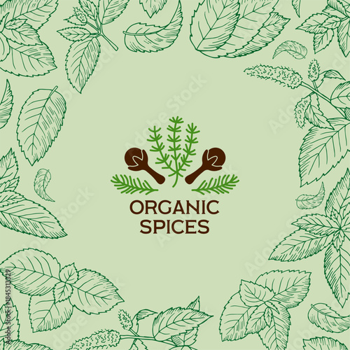Mint background. organic spices concept picture with hand drawn leaves of mint