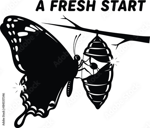 Butterfly emerging from cocoon, symbolizing transformation and new beginnings