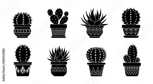 Eight potted cacti and succulents silhouette arranged in two rows create a stylish decorative plant display for home decor enthusiasts.