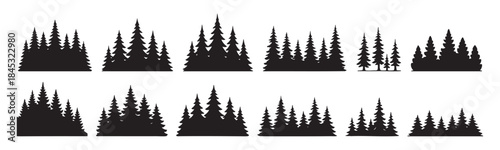 SET - Black silhouettes of various pine tree groups, isolated on white background. concept of forest, natural scenery, woodland, evergreen trees, nature illustration, design element