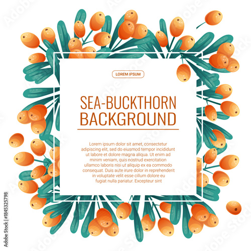 Colorful background with sea buckthorn twigs and berries. The concept of autumn, tea drinking. Vector illustration for the design of posters, flyers, postcards and invitations