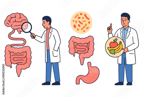 Scientific concept showing the connection between brain, gut microbiome, and healthy eating