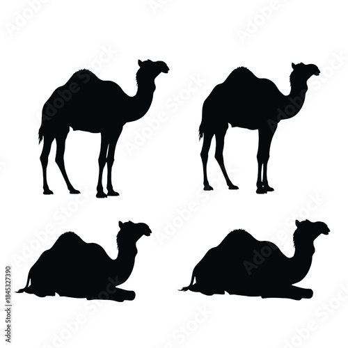 Silhouettes of camels in various poses against a plain white background