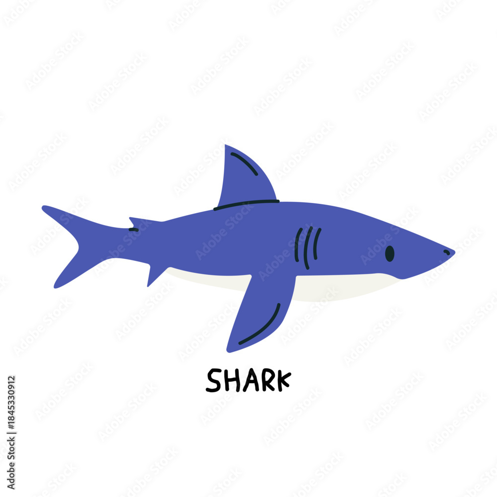 Fototapeta premium Sea animal vector illustration. Marine life cartoon element. Cute shark in doodle style for posters, nurseries, educational materials, stickers, labels